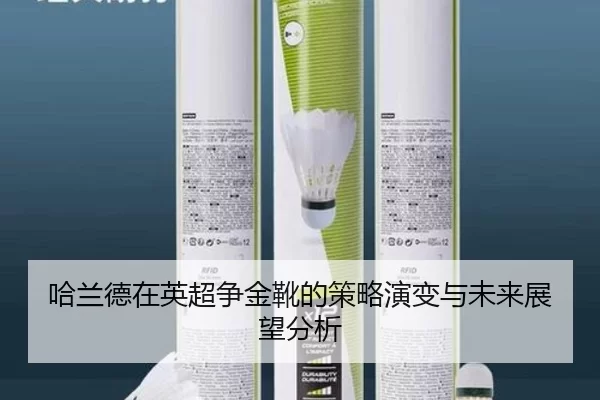 哈兰德在英超争金靴的策略演变与未来展望分析